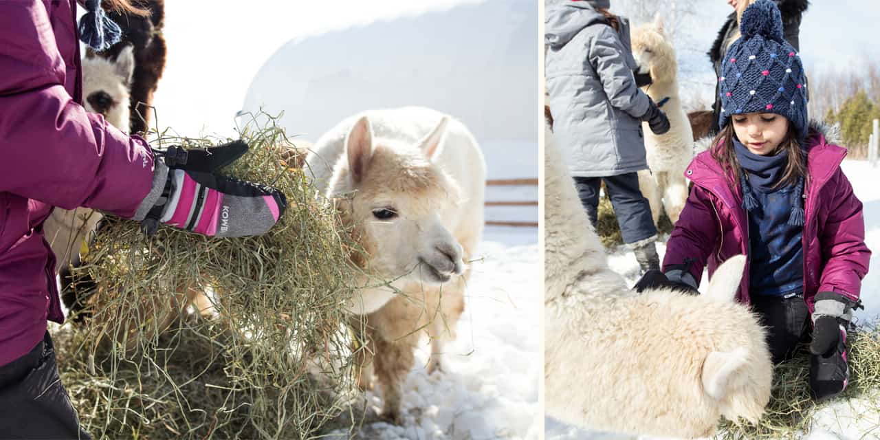 Nos indispensables vêtements d’hiver pour enfants